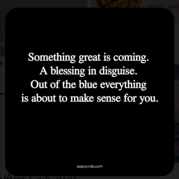 Meet your Posher, Skylar - Picture 6 of 6